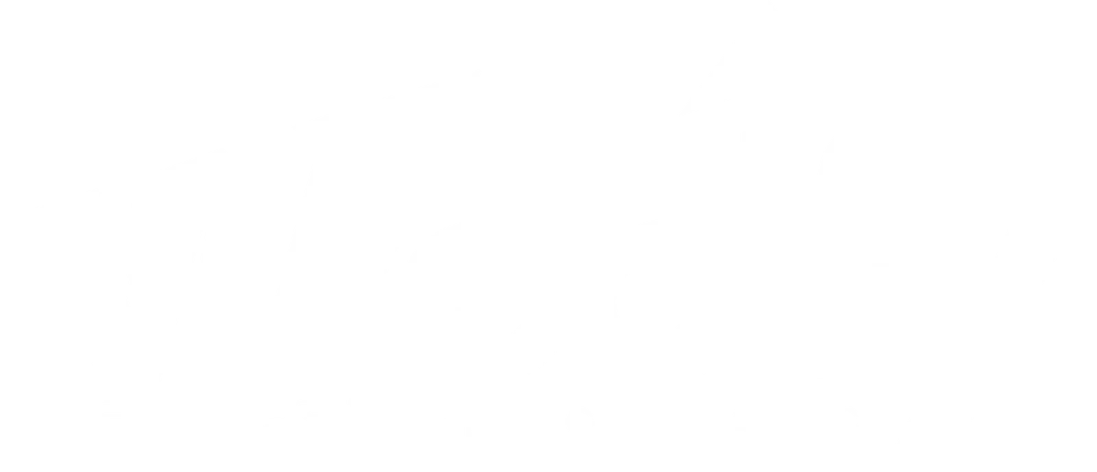 zendom media